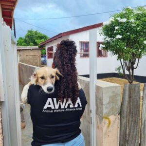 AWAA Aruba