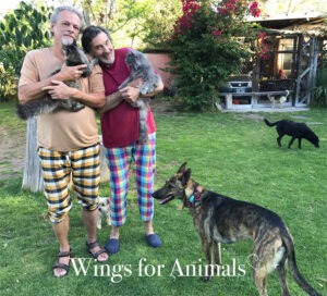 Los Amigos de Bas y Daniel Argentina