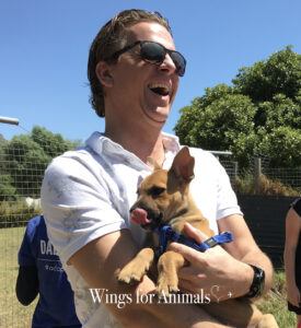 Domestic Rescue Animal Group