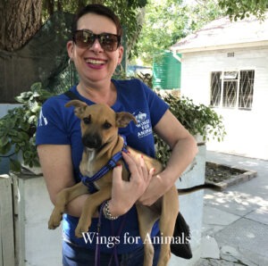 Domestic Rescue Animal Group