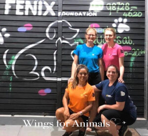 Fenix Foundation Brazil