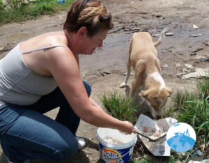 Stichting Henk Abrahamse Suriname