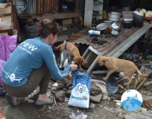 Stichting Henk Abrahamse Suriname