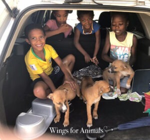 Stichting Henk Abrahamse Suriname