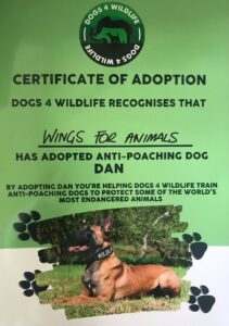 Dan, a dog with a cause