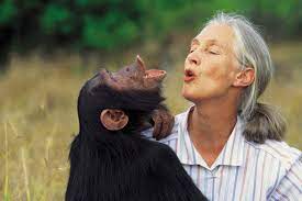 Jane Goodall