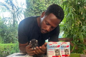 Green Fingers uitgelicht