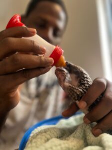 Green Fingers Wildlife Conservation Initiative