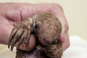 Umoya Khulula Wildlife Centre