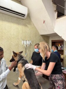 People for Animals Trust