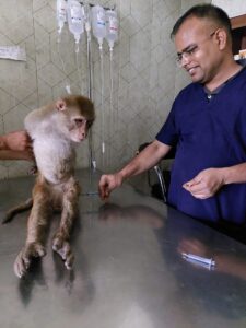 People for Animals Trust