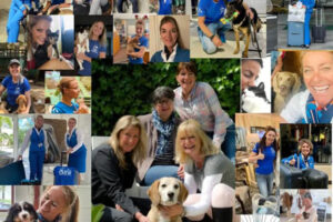 WFA 10 jaar uitgelicht