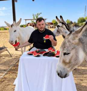 Fundacíon Animal Rescue