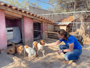 Abir Animal Shelter Griekenland