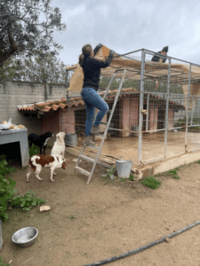 Abir Animal Shelter Griekenland
