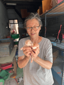 Kattenvrouwtje Thailand
