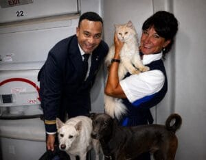 WFA and Airliner4animals Partnership